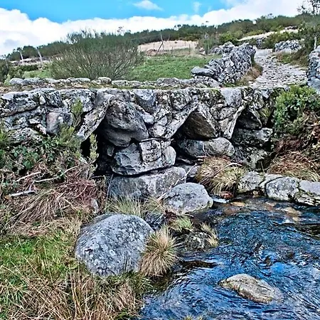 فندق مبيت وإفطار Local - Miradouro Do Castelo 3*
